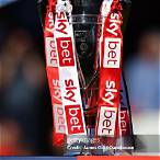 sky bet champions league